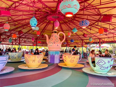 mad tea|teacups at disney world.